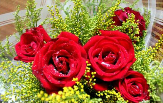 北京韋林意威特工業(yè)內(nèi)窺鏡有限公司預(yù)祝大家新年快樂(lè)，喜樂(lè)安康！