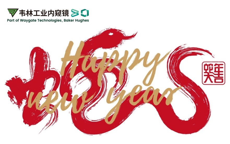 韋林公司祝您：蛇年大吉,福滿(mǎn)乾坤！